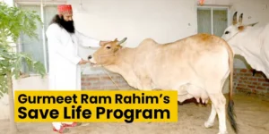 Gurmeet Ram Rahim’s “Save Life” – Shelter and Medical Aid for Stray Animals