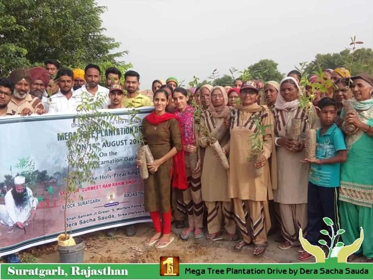 Tree Plantation Drives