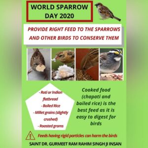 Birds Nurturing Feed and Water Initiatives